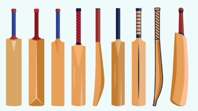 cricket bat