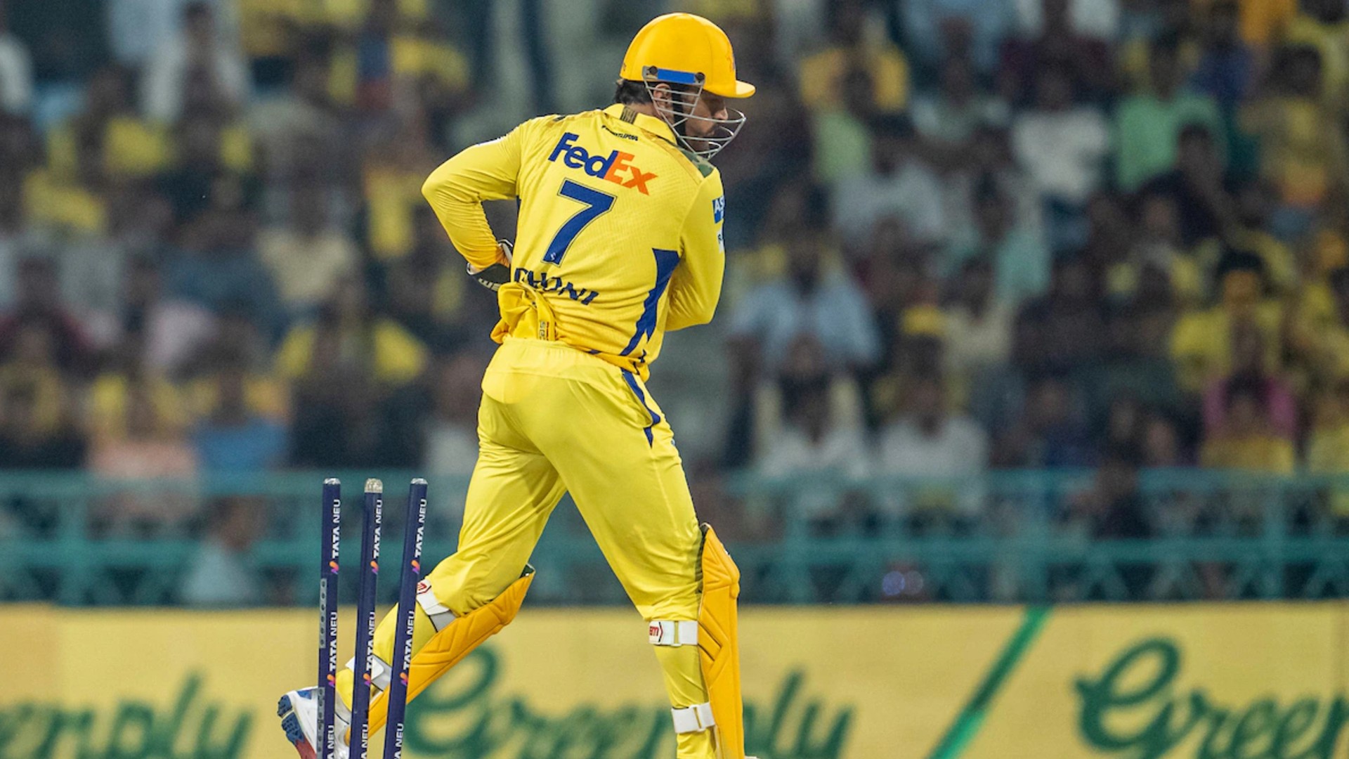 MS Dhoni